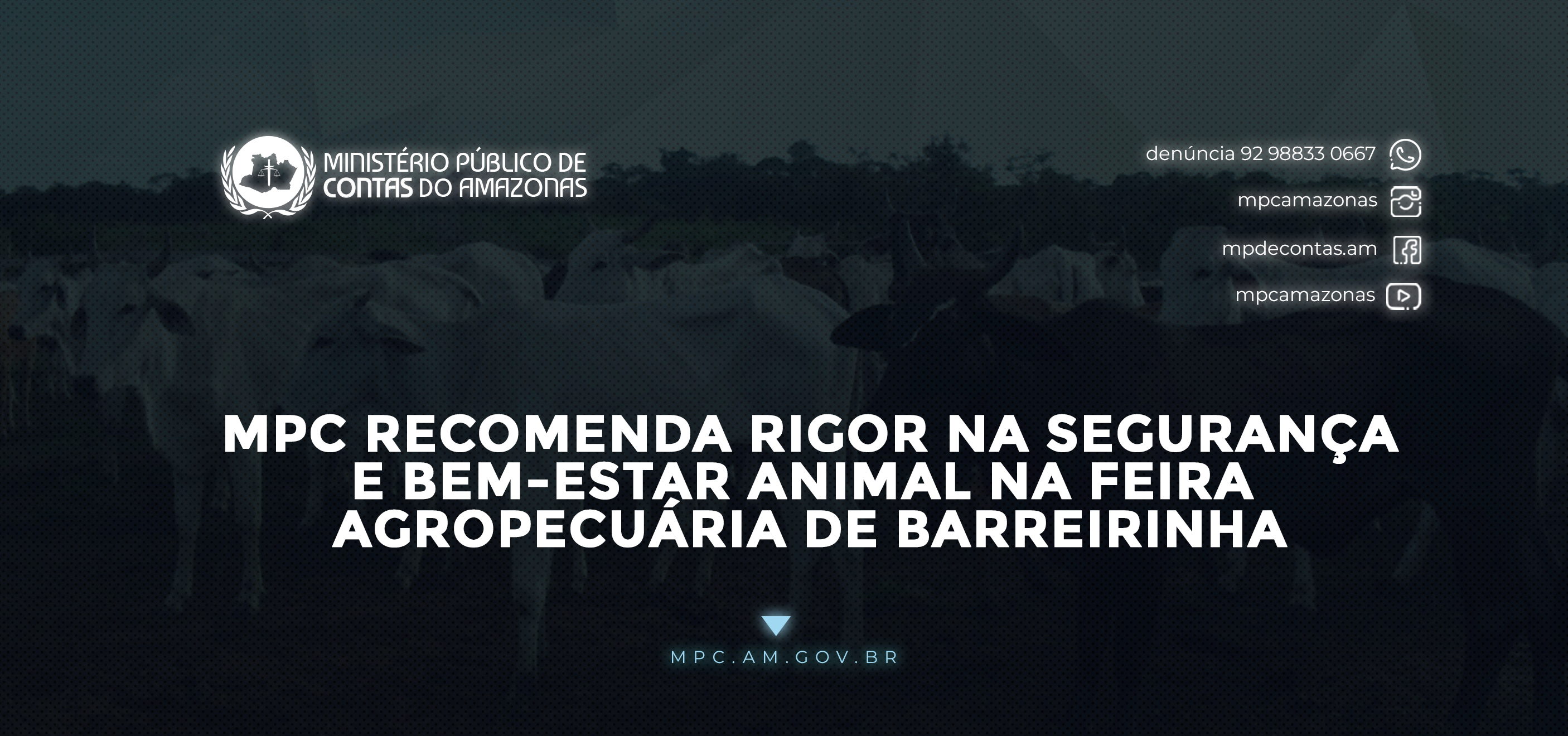 Leia mais sobre o artigo MPC recomenda rigor na segurança e bem-estar animal na Feira Agropecuária de Barreirinha