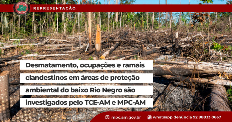 Desmatamento, ocupações e ramais clandestinos em áreas de proteção ambiental do baixo Rio Negro são investigados pelo TCE-AM e MPC-AM