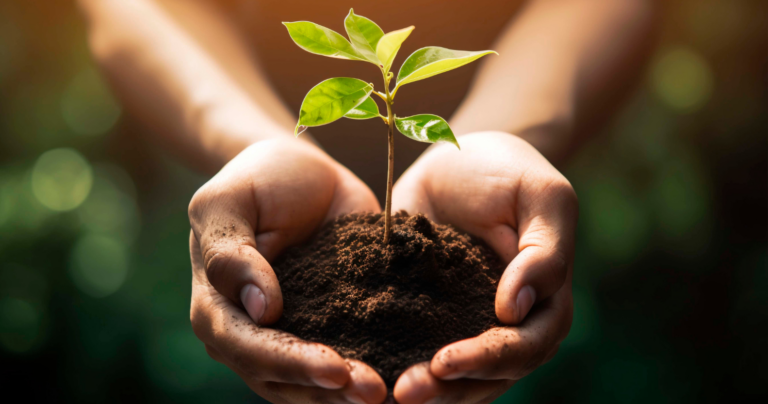 Careiro da Várzea e Silves se destacam na política climática no Amazonas